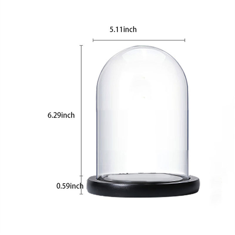 Boîte décorative en verre Amarina, H 5,11 po x l 5,11 po x P 6,88 po