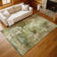 Tapis abstrait intérieur / extérieur lavable à la machine Efhantillonko ACN2300-1457406752
