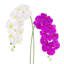 Tige de fleur d'orchidée artificielle-187504815