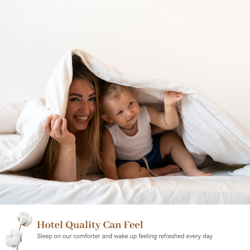 Soft and Fluffy 100% Organic Cotton Feathers Down Comforter All-Season Duvet Insert, King