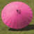 Fuchsia is out of stock