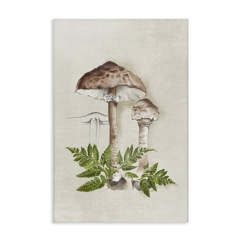 Croquis de champignon et fougère sur toile par Eli Jones, H 24 po x l 16 po