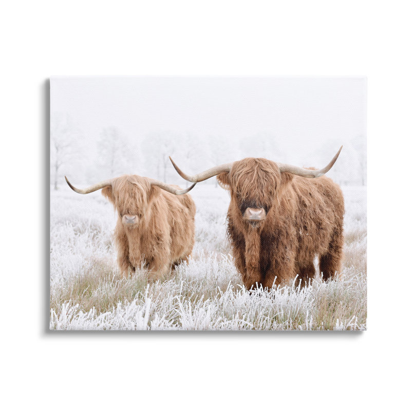 Vaches Longhorn dans la neige, H 16 po x l 20 po x P 1,5 po