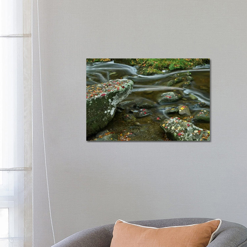 Laurel Creek, Great Smoky Mountains National Park, Tennessee by Tim Fitzharris - Gallery-Wrapped Canvas Giclée on Canvas