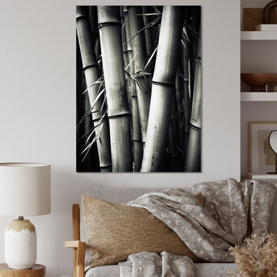 «Black and White Bamboo Photo III - Bamboo», reproduction d'art sur toile_106578