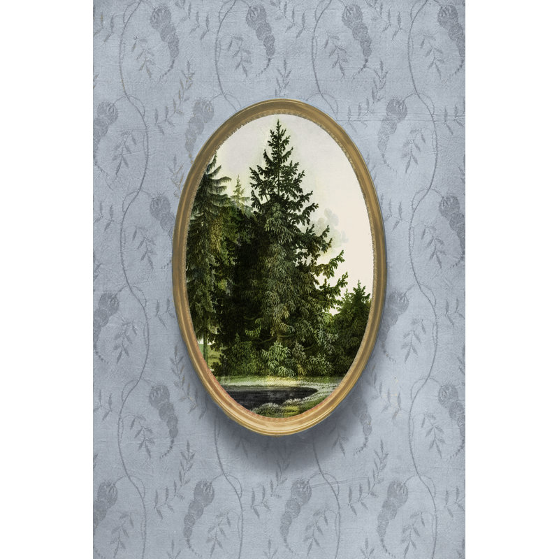 «Lativa Woodland Fir Cameo I» sur toile par Vision Studio, H 36 po x l 24 po