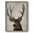 Colorado Buck Framed Print - Solid Wood-672236337