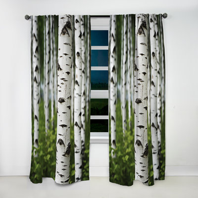 White Green Birch Tree Whispers III - Traditional Curtain - Velvet Room Darkening - 1 Panel