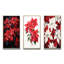 «Poinsettia Flower Noir», 3 pièces sur toile-1341924513-1341924514