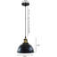 Baun 1 - Light Black Pendant