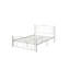 Unique Flower Metal Bed Frame With Headboard And Footboard-1803602911