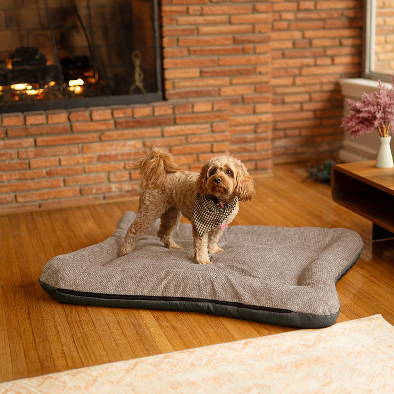 Lit réversible en microsuède ivoire pour chien et chat All Day with Cloud 9, 5" H x 40" W x 30" D, Merlin Camel