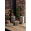 Fuchs Stone Pedestal Plant Stand