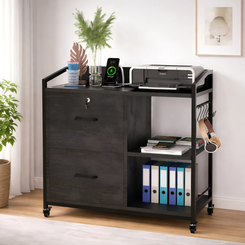 35'' Wide 2 -Drawer Mobile File Cabinet With Side Hooks, Black