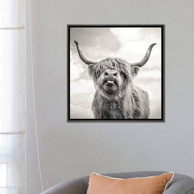 Highland Cow Canvas Art by Mark Gemmell