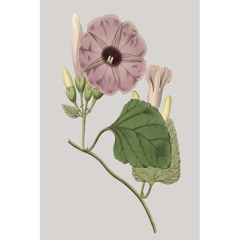 «Floral Gems IV» par Vision Studio - impression sur toile tendue, H 12 po x l 8 po