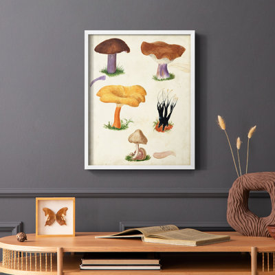 Reproduction encadrée Mushroom Species VII - bois massif