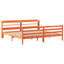 Storage Bed-1264889385
