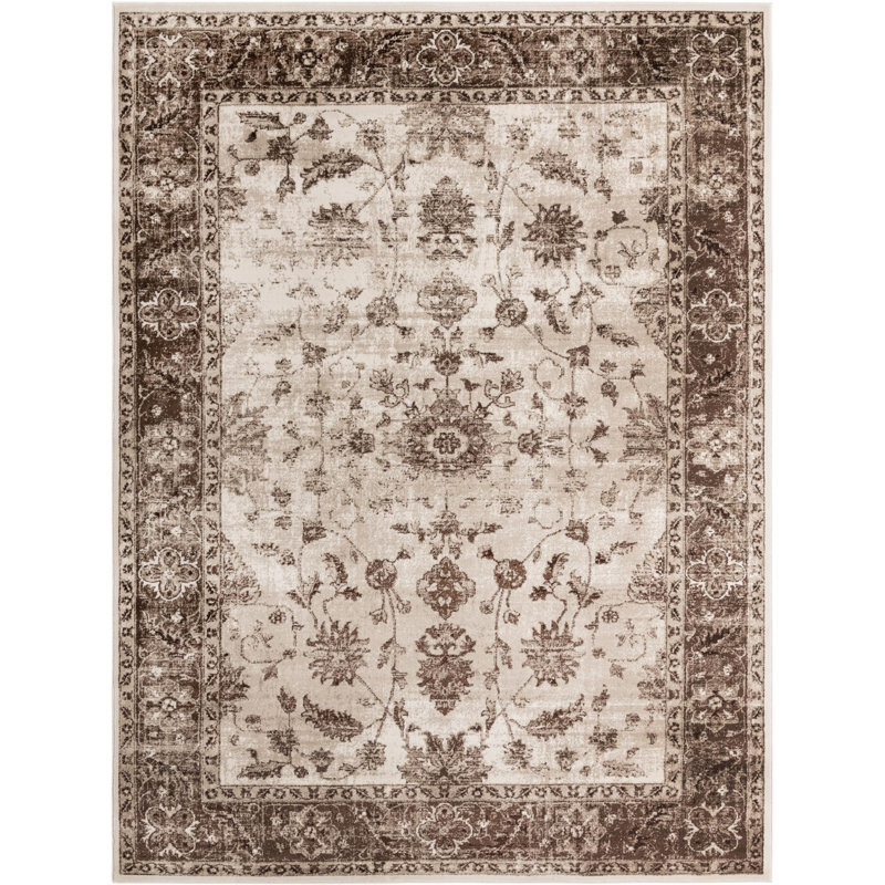 Emigdio Oriental Indoor Rug, Rectangle 9' x 12'