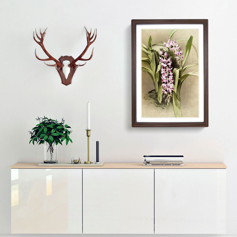 Magnolia Flowers Illustration Tab. 81 by Frederick Sander - Picture Frame Painting Print, 60cm H x 40cm W x 2cm D, Walnut