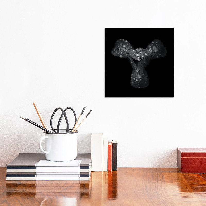 Black And White Petals by Brian Carson - Wrapped Canvas Print, 30.48 cm H x 30.48 cm W