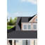 Asphalt shingle