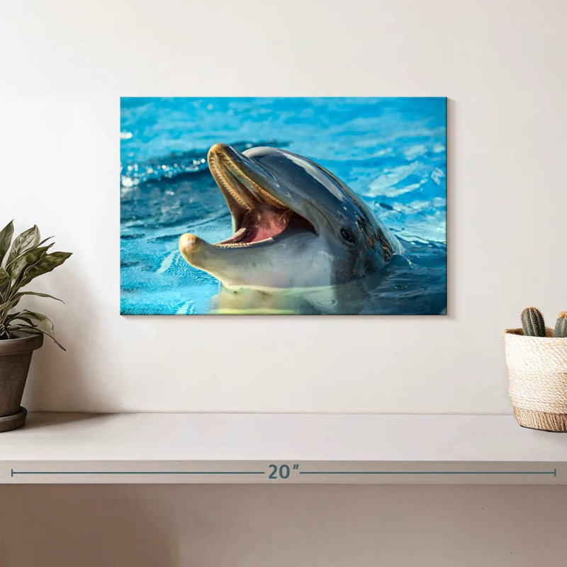 Smiling Playful Dolphin, 8" H x 12" W