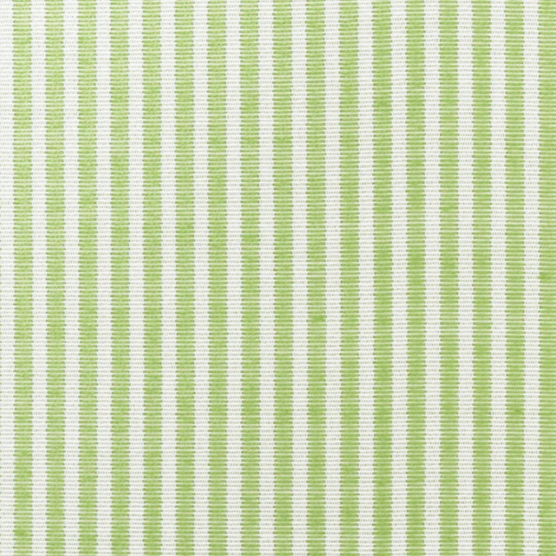 Easton Stripe Indoor/Outdoor Fabric, Leaf