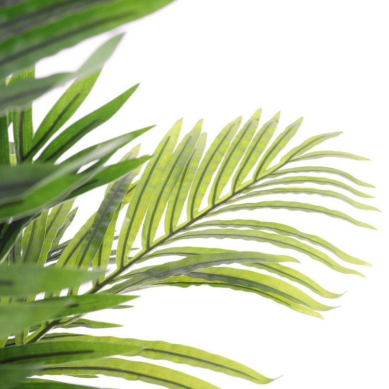 Palm Plant in Pot, 140cm H x 130cm W x 130cm D