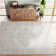 Shyann Machine-Woven Oriental Grey Area Rug