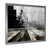 Silver Single Picture Framed