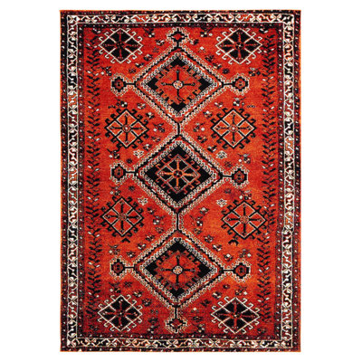Daemyn Performance Oriental Rug