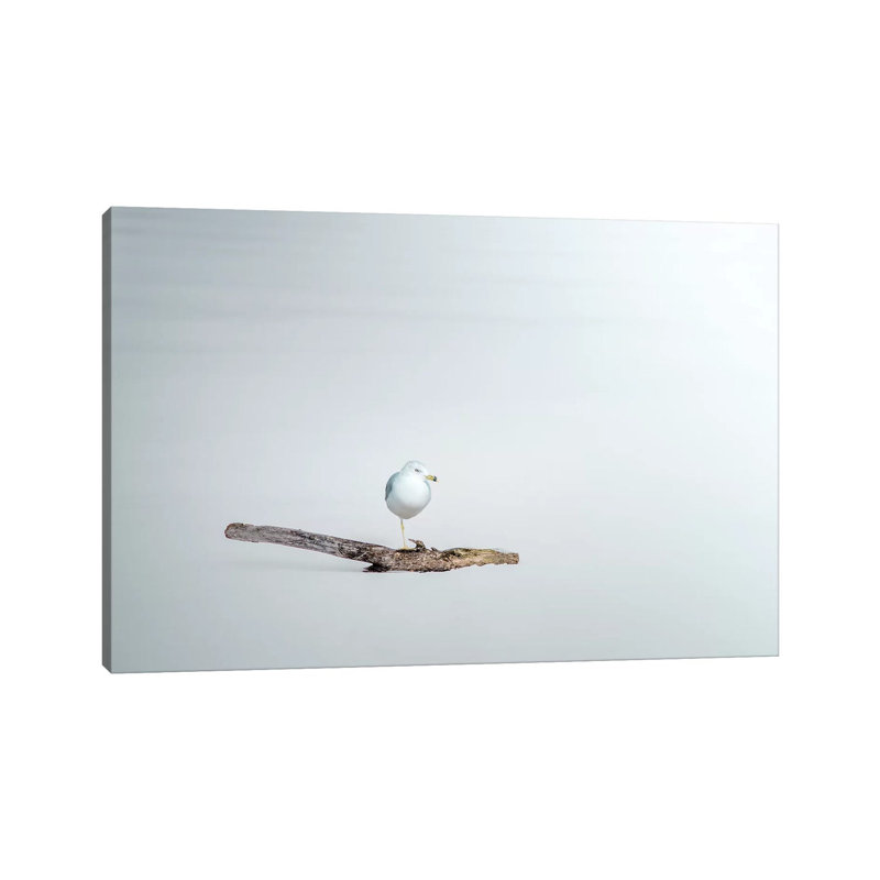 Seagull Sitting On A Log by Nik Rave - Wrapped Canvas Print, 101.6 cm H x 66.04 cm W x 1.91 cm D
