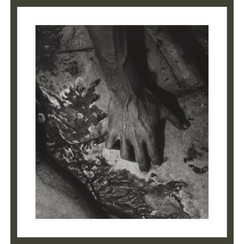 «William Lairl Point Lobos State Park California» par Major White, impression giclée sur cadre, H 36,63 po x l 33,5 po