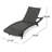 Billur 79.5" Long Reclining Chaise Lounger Set with Cushions-202800237