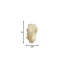 Bougie torsadée dimensionnelle blanche 4 po