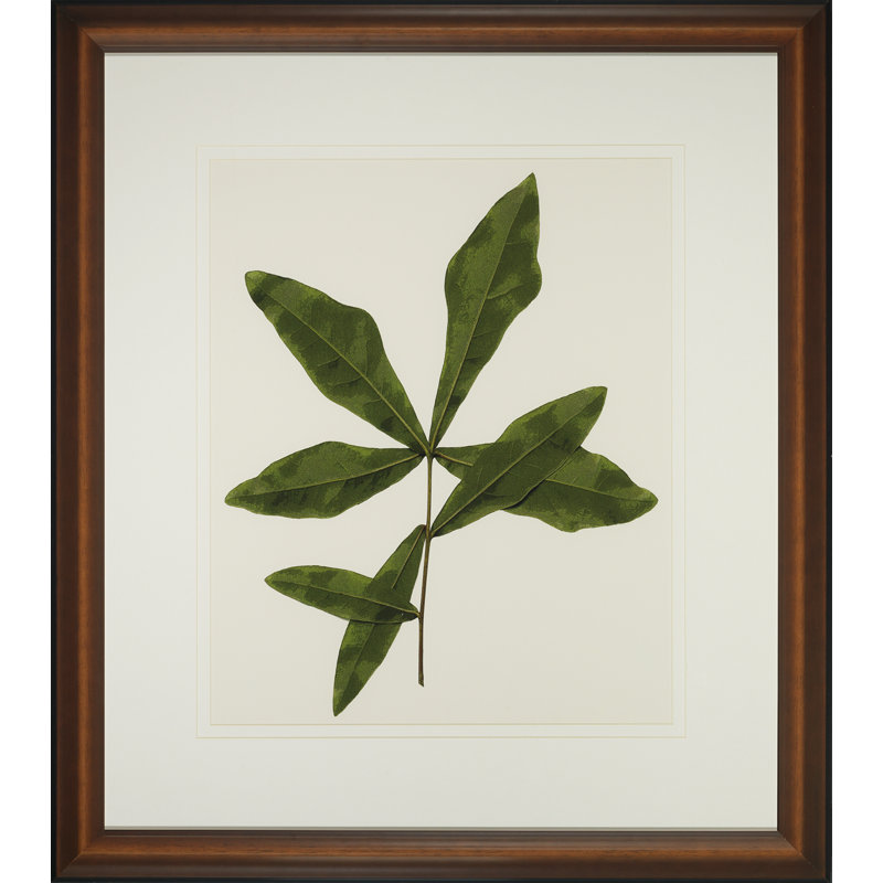 A Little Piece Of Nature III Print