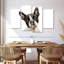 Brampt Little Boston Terrier-108835013