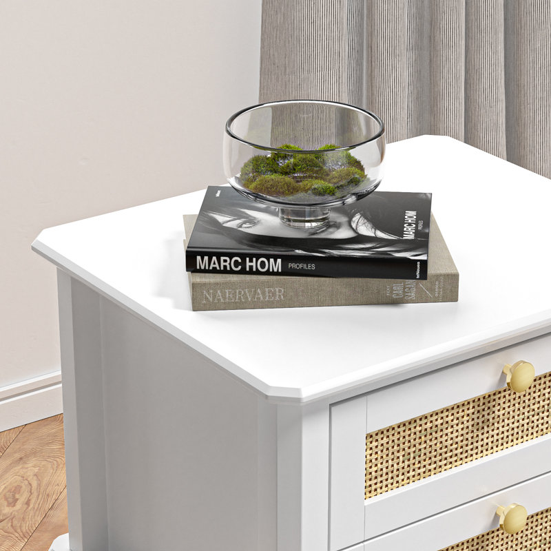 Ariyona 28"H Nightstand White bed table with 2 Drawers for Living Room