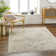 Abstract Indoor Rug