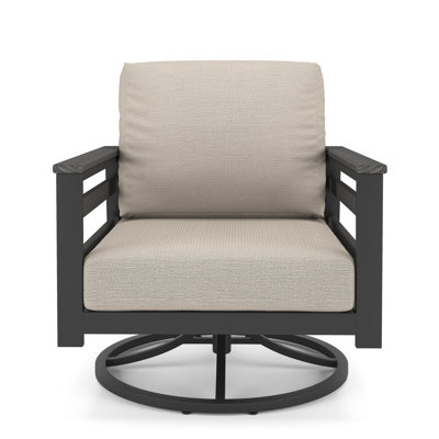 Townsend Metal Outdoor Swivel Rocking Chair with Sunbrella Cushion by Birch Lane