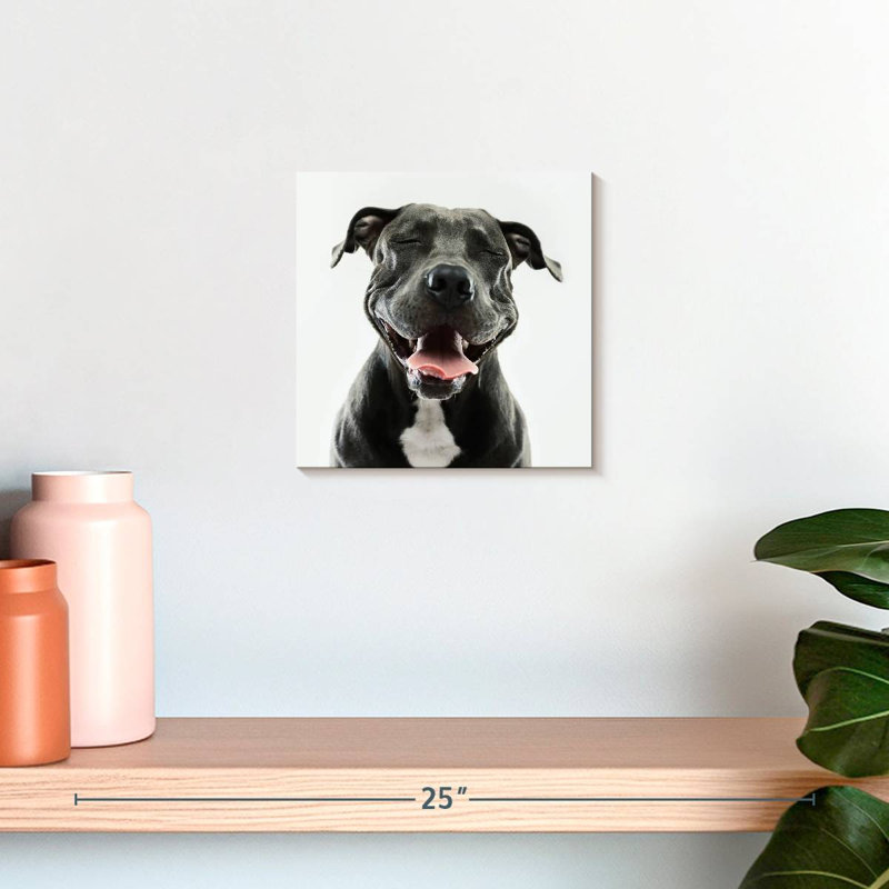 Brampt Smiling Black Pitbull, 10" H x 10" W