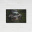 «Rusty Auto I» par PH Burchett