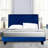Dendrick Upholstered Tufted Velvet Bed-71942766-71942767