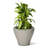 Fernway Self-Watering Plastic Planter-83462859-96916944