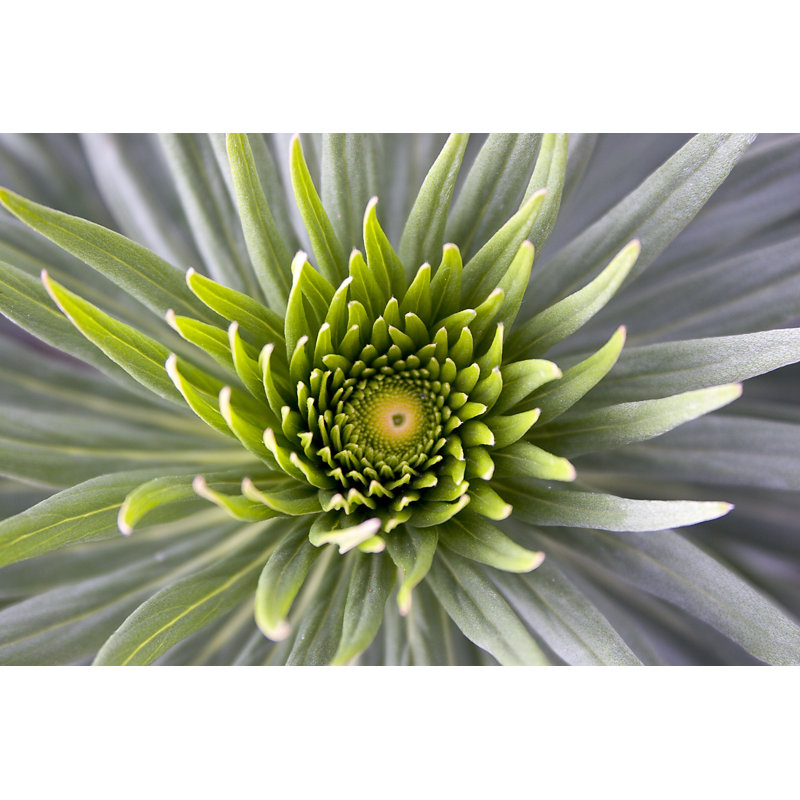 Center Point - Wrapped Canvas Print, 61cm H x 91cm W x 3.8cm D