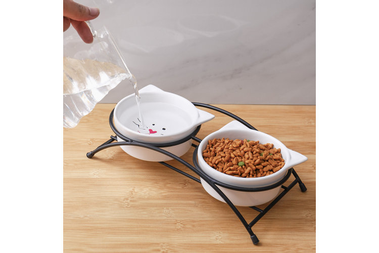 Cat bowl and water dish with cat food and fresh water.