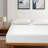 Pell 8'' Medium Sofa Bed Jacquard Mattress-955604694