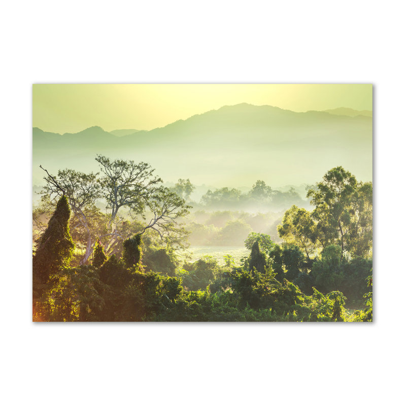 Jungle - Wrapped Canvas Print