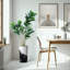 Arbre artificiel en pot moderne Ficus Lyrata-97704305-138916974